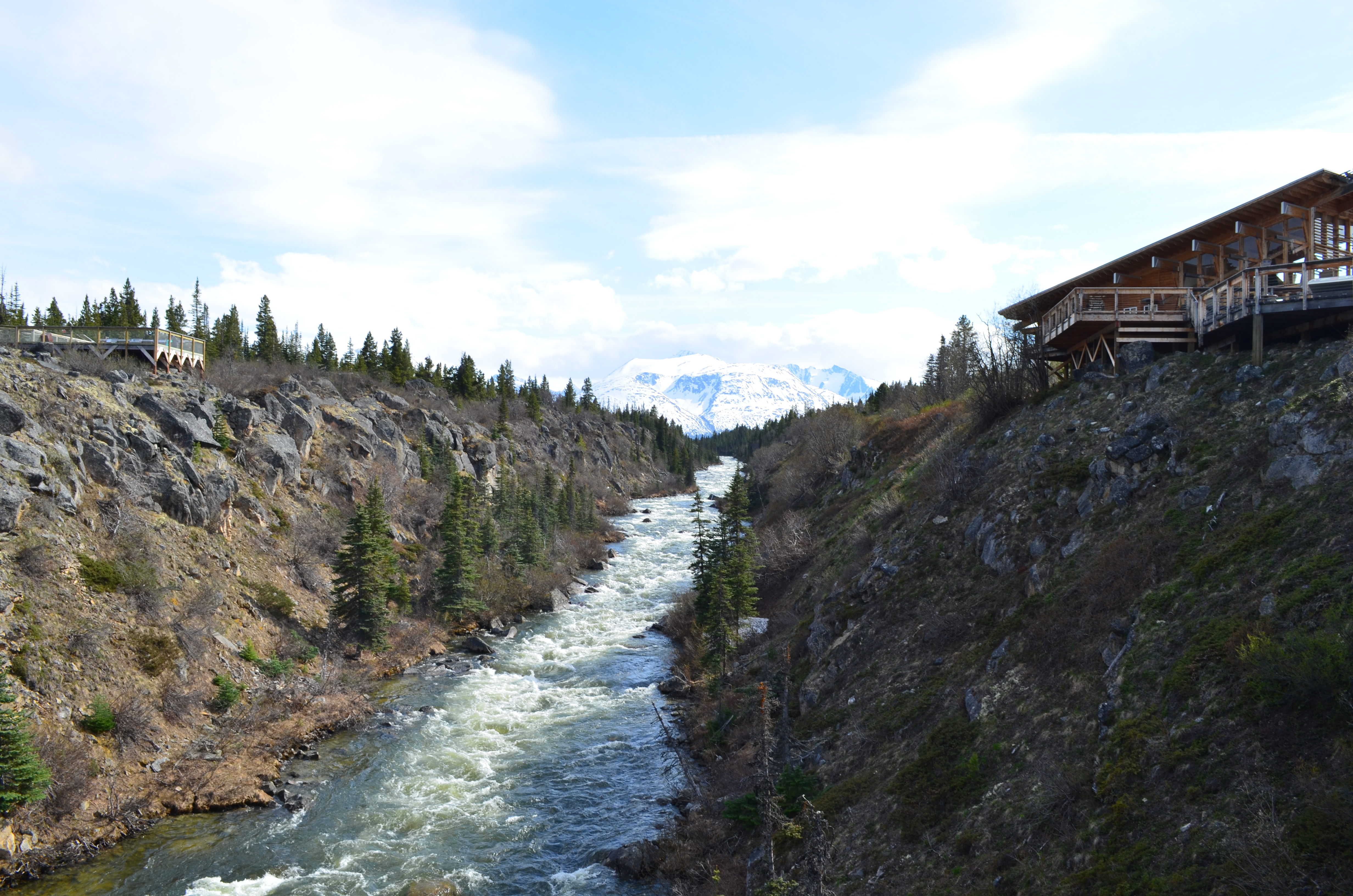./2017/08 - Alaska Cruise/09 - Skagway/DSC_0089.JPG